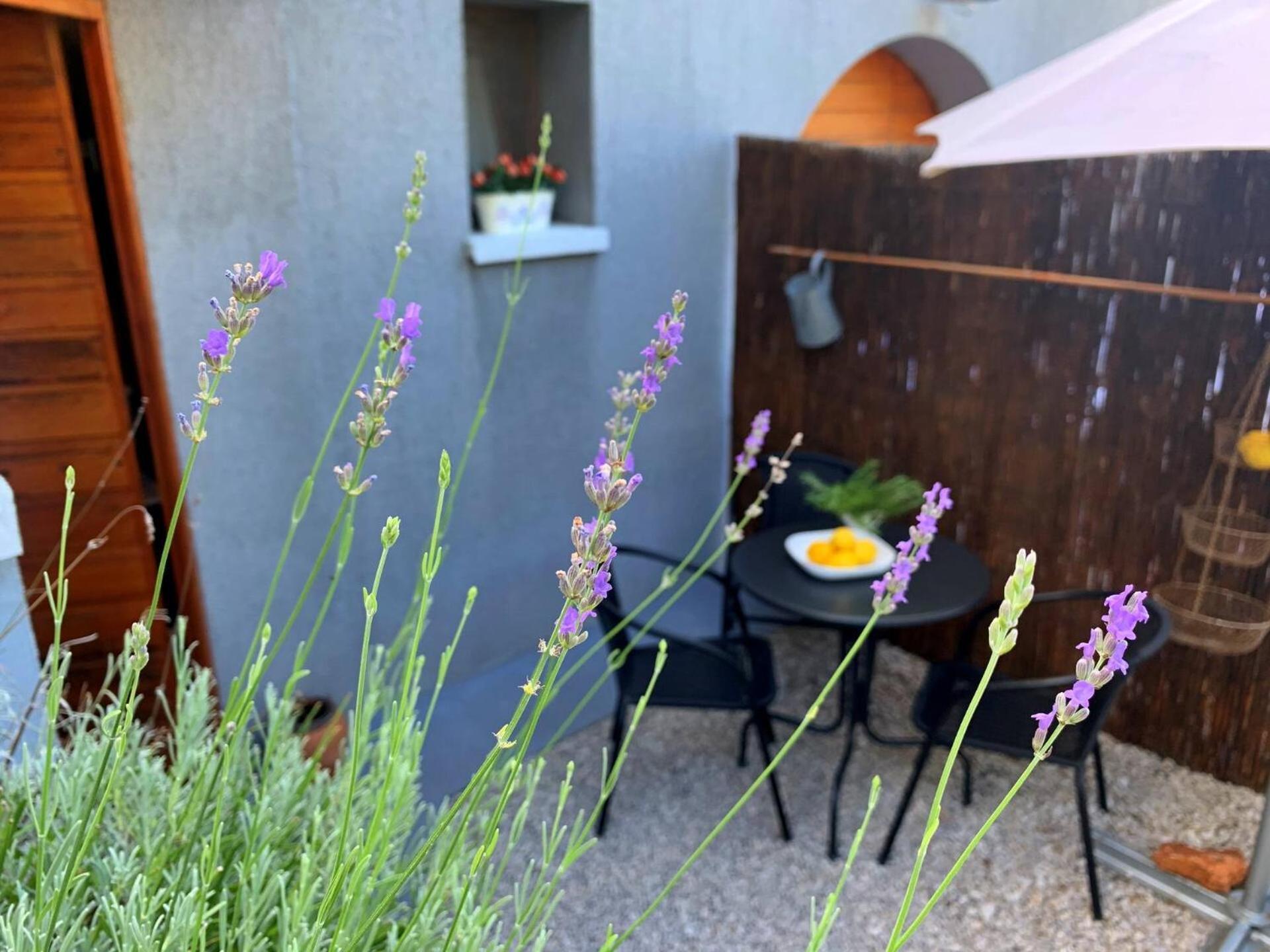 Apartments Savic 실로 외부 사진